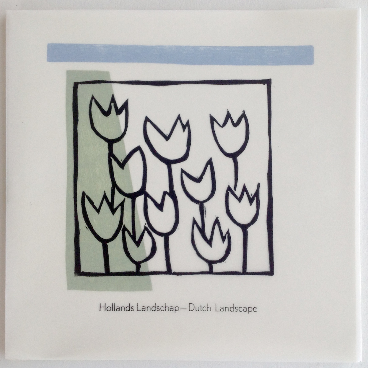 Voorzijde boek Boek Hollands Landschap